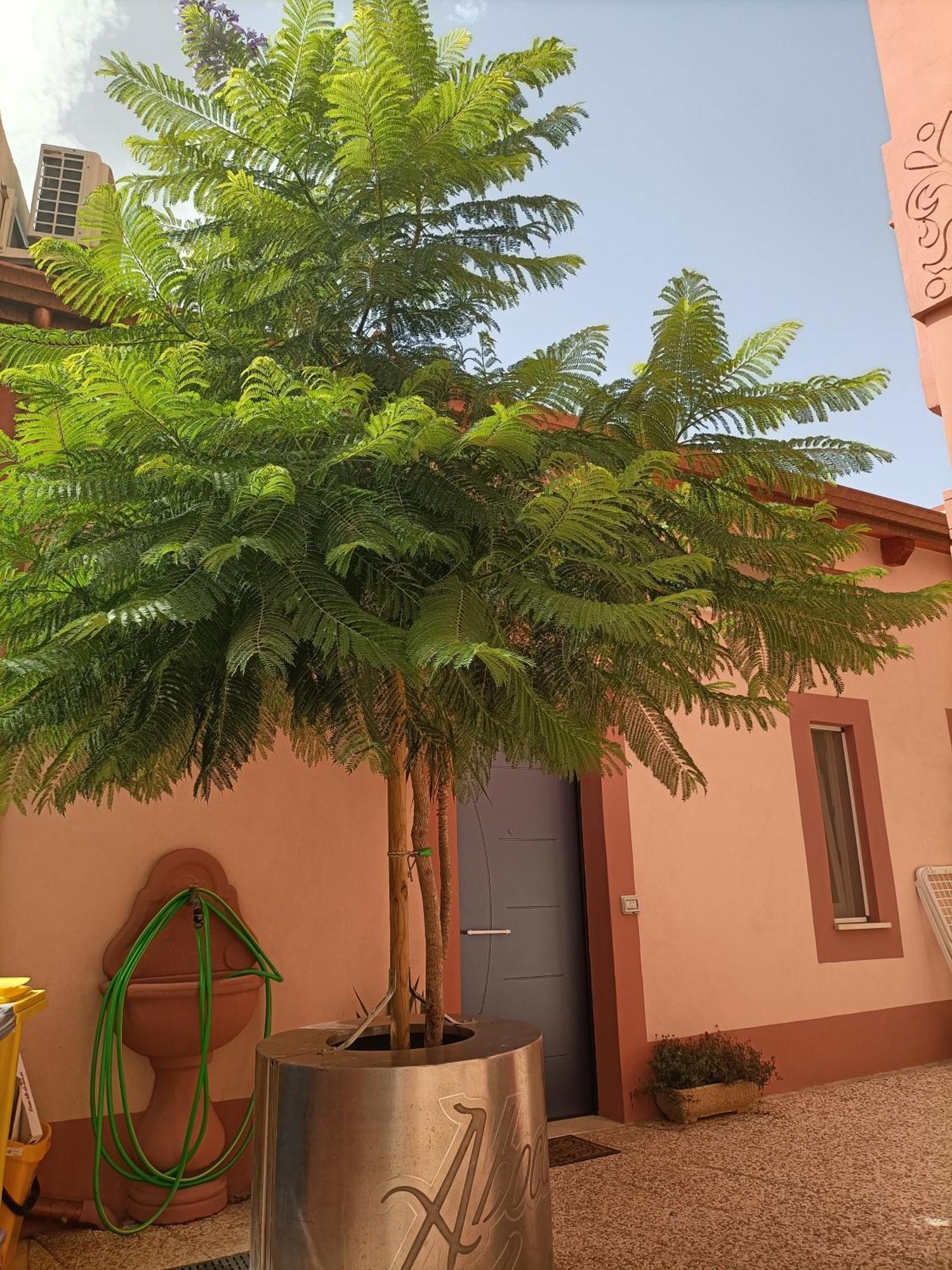 Maison Belle Epoque & Suites Oristano Pokoj fotografie