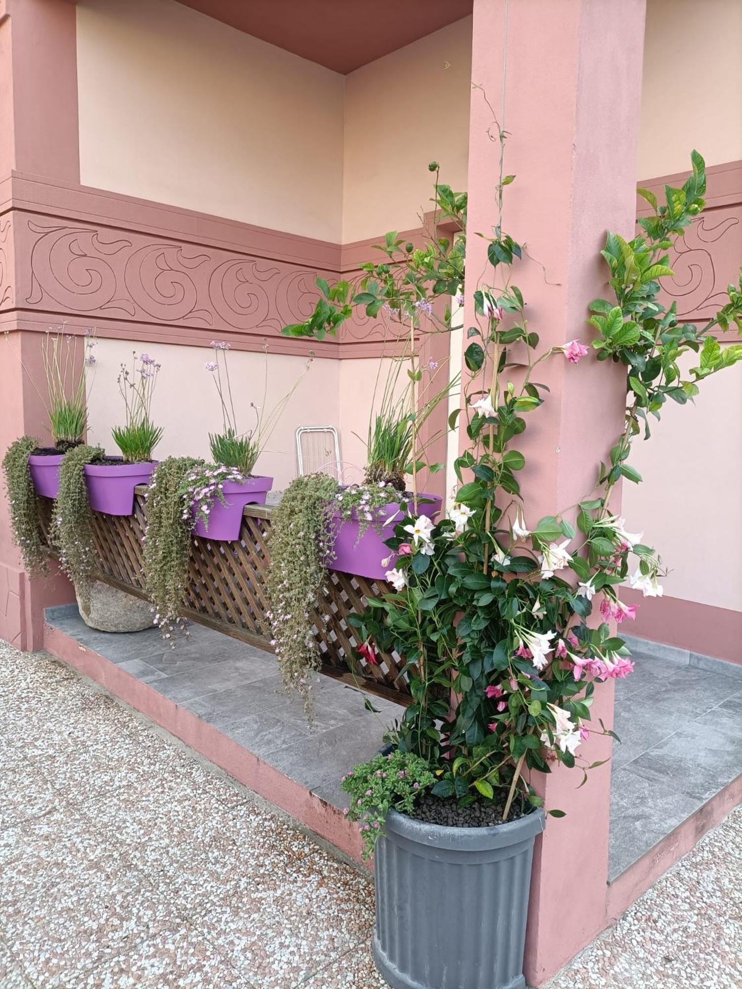 Maison Belle Epoque & Suites Oristano Exteriér fotografie